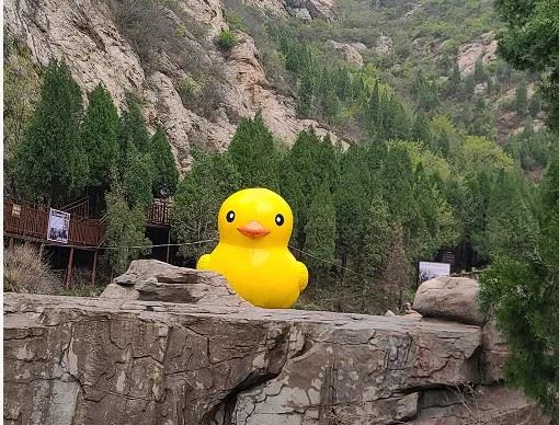 May 1st Dahongzhai Wanhua Fengling Festival